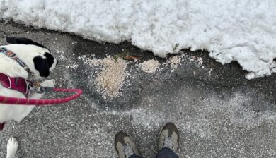 a pile of road salt on the road