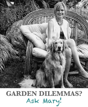 Garden Dilemmas?  Ask Mary Stone!
