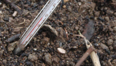 an analog thermpmeter stuck in soil