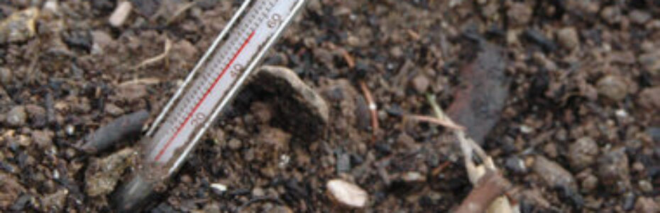 an analog thermpmeter stuck in soil