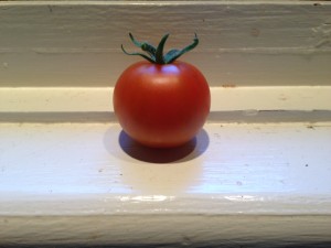 a perfectly ripe read tomato on a windowsill 