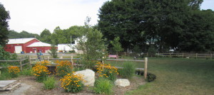 Blairstown NJ Village Green, Garden Dilemmas Ask Mary Stone, Gardening Tips