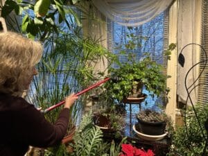 a blonde woman watering houseplants using a wand sprinkler.