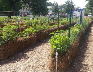 Kearny Community Garden using strawbales