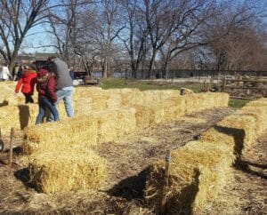 a group of volunteers setting up the straw bales at the Kearny Community Garden.