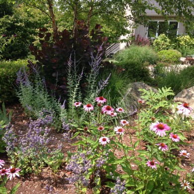 Mary Stone, Garden Dilemmas, Ask Mary Stone,Gardening tips, Garden Blogs, Stone Associates Landscape Design, Garden Blog