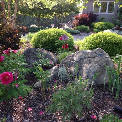Mary Stone, Garden Dilemmas, Ask Mary Stone,Gardening tips, Garden Blogs, Stone Associates Landscape Design, Garden Blog, New Jersey Landscape Designer