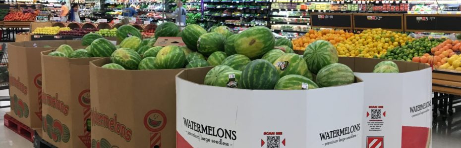 Bins of seedless watermelons at a grocery store
