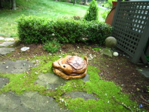 a mossy stone patio riddled with ants with a lovely wooden sculpture of a turtle.