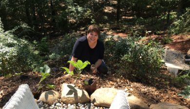 Mary Stone, Garden Dilemmas, Ask Mary Stone,Gardening tips, Garden Blogs, Stone Associates Landscape Design, Garden Blog, Hillside Garden, Woodland Garden, Stephanie Jensen