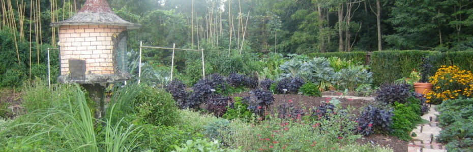 An organic vegetable garden with a birdhouse