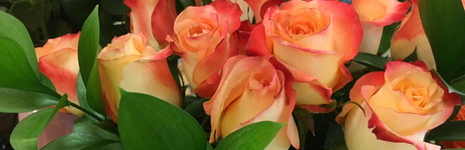 a bouquet of peach roses