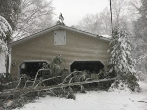 a large fallen branch of a hemlock in front of a garage that spared hitting my umbrella pine. 