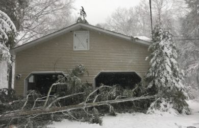 a large fallen branch of a hemlock in front of a garage that spared hitting my umbrella pine.