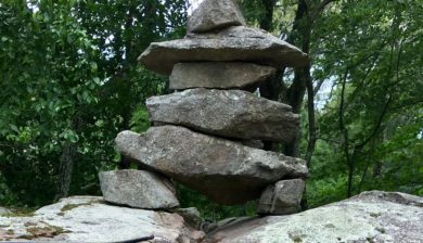 Mary Stone, Garden Dilemmas, Ask Mary Stone,Gardening tips, Garden Blogs, Stone Associates Landscape Design, Garden Blog, Alpine Garden Planning,inuksuk, inuksuk water feature