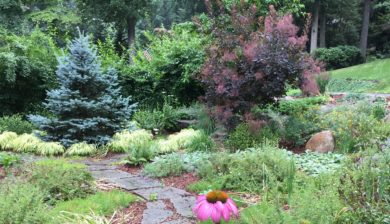 Mary Stone, Garden Dilemmas, Ask Mary Stone,Gardening tips, Garden Blogs, Stone Associates Landscape Design, Garden Blog, getting gardens vacation ready
