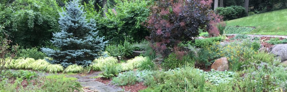 Mary Stone, Garden Dilemmas, Ask Mary Stone,Gardening tips, Garden Blogs, Stone Associates Landscape Design, Garden Blog, getting gardens vacation ready