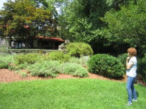Mary Stone, Garden Dilemmas, Ask Mary Stone,Gardening tips, Garden Blogs, Stone Associates Landscape Design, Garden Blog, Leaf Mold, Leaf Mold as Mulch