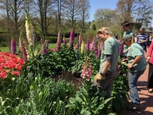 Mary Stone, Garden Dilemmas, Ask Mary Stone,Gardening tips, Garden Blogs, Stone Associates Landscape Design, How to Plant Bulbs, Longwood Garden Spring Bulbs