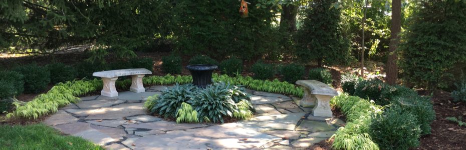 Mary Stone, Garden Dilemmas, Ask Mary Stone,Gardening tips, Garden Blogs, Stone Associates Landscape Design, Boxwood Blight