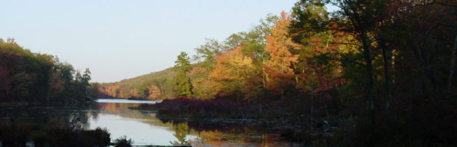 a lake surrounded by evergreen trees and deciduous trees in their orange and gold fall colors.
