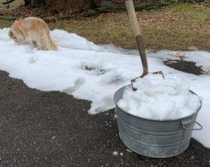 Metal tub of Snow with a shovel