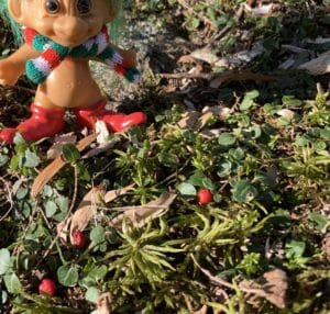 a troll doll with a green and white scarf and red boots amongst moss and partridge berry