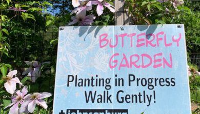Johnsonburg-Camp-Retreat Center-butterfly- garden