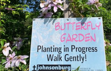 Johnsonburg-Camp-Retreat Center-butterfly- garden