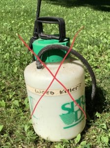 a spray bottle with Weed Killer written on it a red X. 