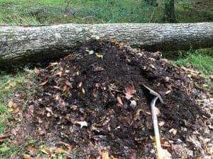 Leaf-Mold-Compost-Pile