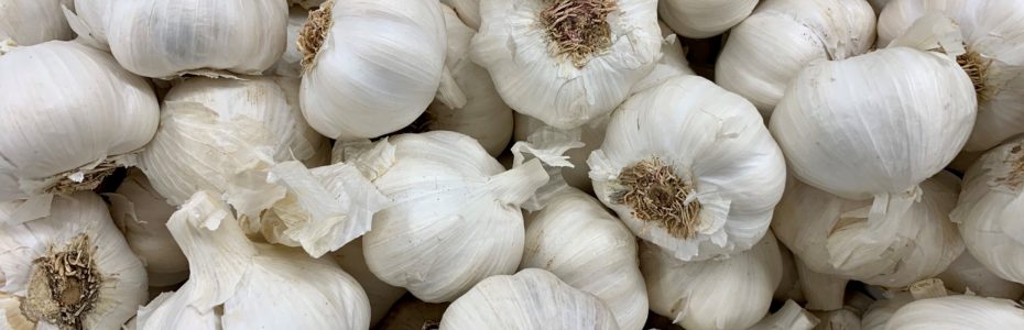 Garlic-in-Bin