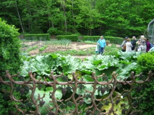 An attractively designed vegetable garden with an antique wrought iron fence.