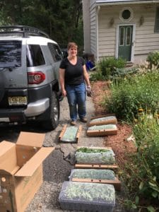 Woman next to truck wiht flats of new plants for planting