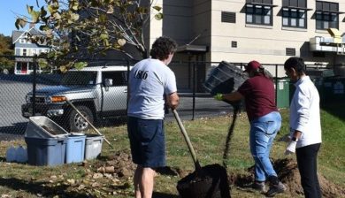 two woman and a man planting a redbud tree in front of a highschool