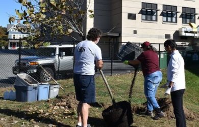 two woman and a man planting a redbud tree in front of a highschool