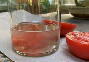 scooped out gel and seeds of tomatoes in glass jar filled with water