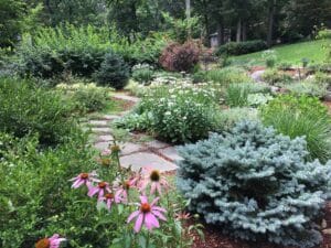 a front lawn alternative garden with stepping stone path flowering plants pollinators love