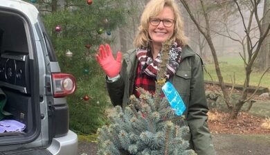 blonde woman in pink garden with a three foot tall blue spruce in a red pot