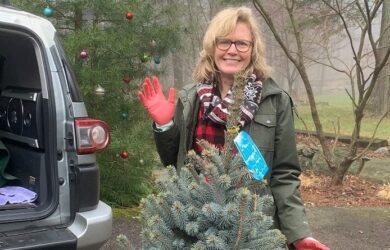 blonde woman in pink garden with a three foot tall blue spruce in a red pot