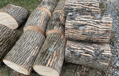 a stack of ashwood logns invested with EAB