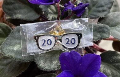 comfort zone camp 2020 pin in the shape of glasses sitting on a purple flowering violet