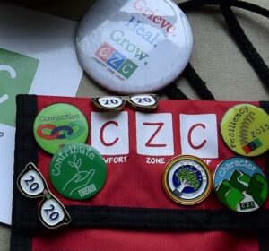 a red comfort zone camp badge with several pins including twenty twenty vision wiht glasses