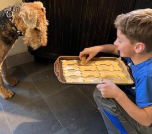 a boy with a baking tray of dog treats wiht a brown and back wirey haired dog.