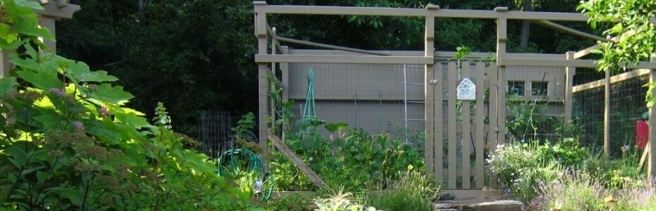 a vegetable garden with a beige wooden and wire mesh fence.