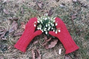red mittens embracing white flowering snowdrops