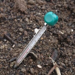an white analog thermometer stuck in soil to test soil temperature