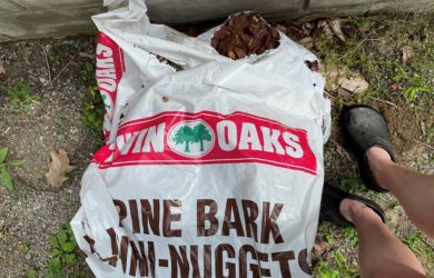 an open bag of Twin Oaks Pine Bark Nuggets