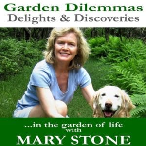 The Garden Dilemmas Delights and Discoveries in the garden of life with Mary Stone logo with her photo and golden retriever Ellie.
