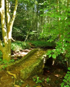 a mossy foot bridge made of stone over a woodland stream at Willowwood Arboretum